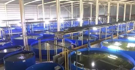 德清漁業(yè)養(yǎng)殖尾水治理成果顯著，再獲國家級(jí)專家關(guān)注